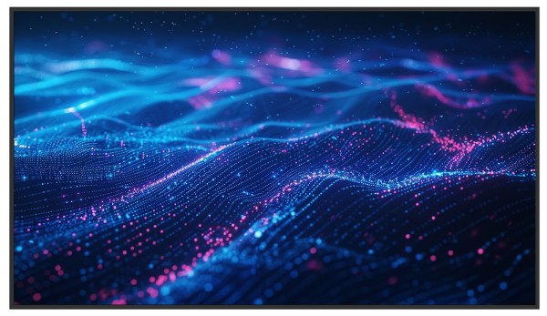 Newline DSX 65" - Professionelles 4K Commercial Display